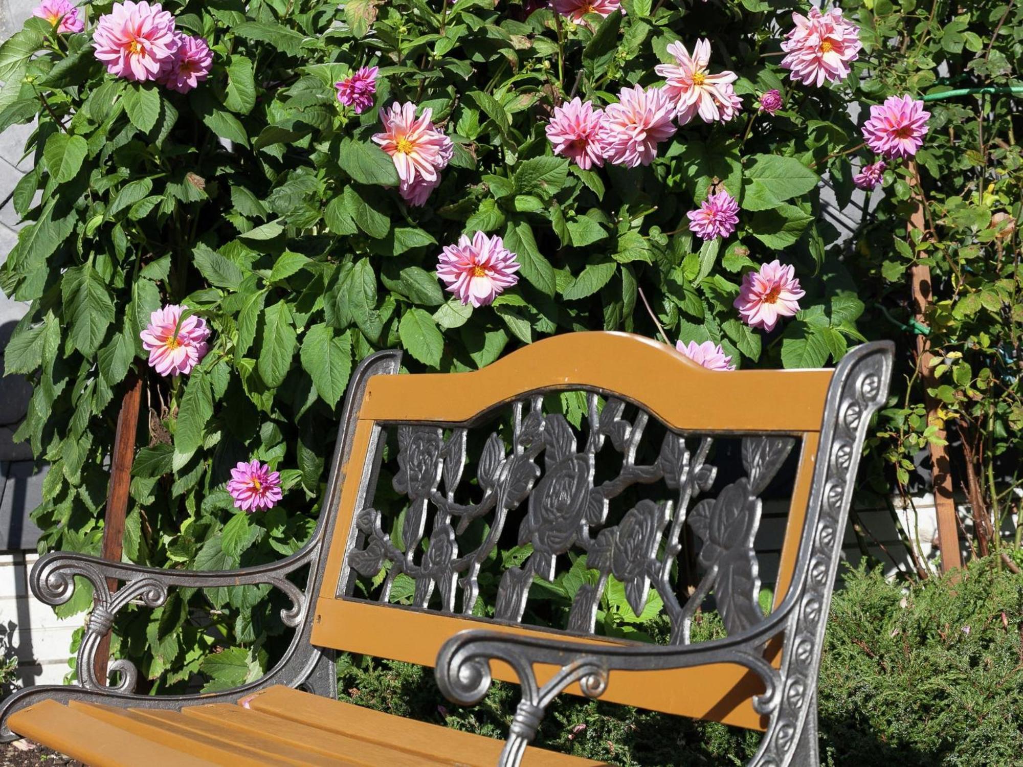 Apartment In Thuringian Forest With Garden Schwarzatal ภายนอก รูปภาพ
